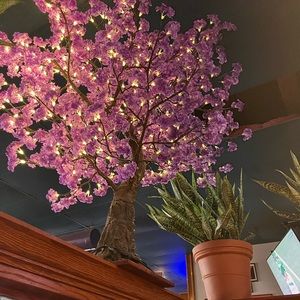 Meet your Posher, Lynn